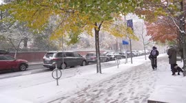 First snowfall of the season in Toronto