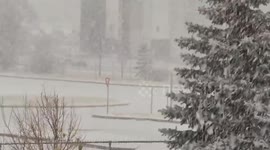 Heavy snowfall with massive snowflakes in Calgary, Alberta, Canada