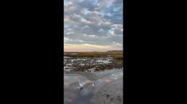 Bright evening sky over Huntington Beach State Park in Murrells Inlet, South Carolina, USA