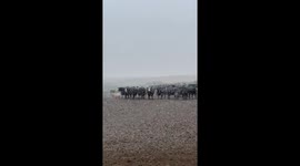 First snowfall graces a peaceful farm in Nebraska, USA