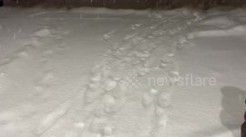 US: Season’s First Winter Storm Sweeps Michigan, Thousands Without Power