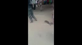 Children among dozens injured at Indonesia mosque explosion