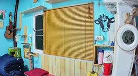 Buffaloes poke their heads through kitchen window to be fed bananas