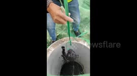 Chinese construction workers rescue dog trapped in deep well - clever pooch bites rope to escape