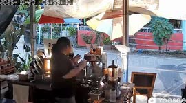 Double meow-cchiato! Pair of cats knock over coffee shop umbrella