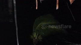 Philippines: Super Typhoon Fung-Wong makes landfall in Philippines