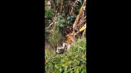 Firemen rescue horse stuck in a ditch in Brazil
