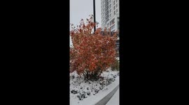 Canada: Early-Season Snow Blankets Toronto, Southern Ontario