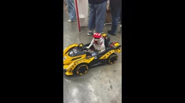 Cool cat cruises through pet show in his own electric car
