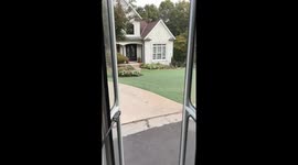 Dog Wears Sunday Best for His Tuesday Dog Bus Group