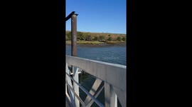 Beautiful nature in Peekskill westchester county