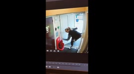 Gravity: 1, Me: 0 (The Monday Edition)