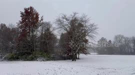 US: Dangerous Lake-Effect Snowstorm Threatens Midwest and Great Lakes 8