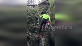 Italy: Firefighters Rescue Calf From Deep Gorge In Moggio Udinese