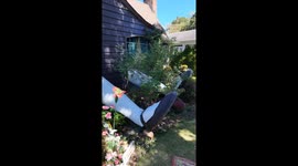 Giant Alice in Wonderland legs stick out of house's windows in hilarious Halloween display