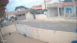 Cat accidentally trapped in self-closing gate in Quatiguá, Brazil
