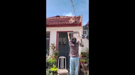 Pet owner rescues cat from roof using pan