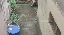 Leopard Attack Sparks Panic in Kolhapur’s Nagala Park Area