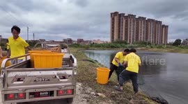 China: Blue lobsters enter harvest season in S China