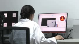 China: China's brain-computer interface industry confronts talent shortage