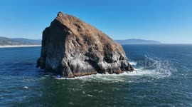 Majestic Sea Birds Take Flight Above Chief Kiawanda Rock Amid Oregon’s Coastal Splendor.