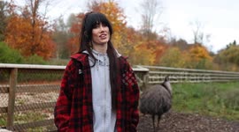 Woman buys emu egg on eBay after taking sleeping pill - treats her like her child