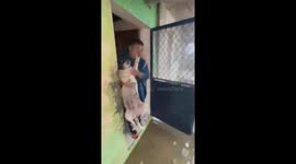 Pet dog evacuates with family as Super Typhoon Fung-wong floods home