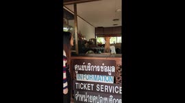 Pet dog mans ticket counter serving tourists in Thailand