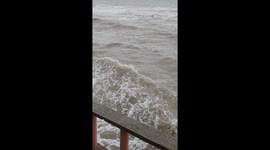 Fearless passerby rescues stray dog stranded in sea during typhoon