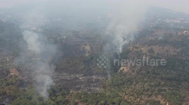 Bkassine forest in Lebanon faces threat from fires following Israeli attacks