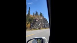 Man Chases His Dog Up Cliff