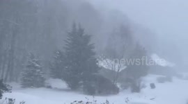 US: Frigid Cold Airmass Grips Southeastern Region, Triggers Widespread Freeze Warnings 2