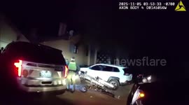 US: Deputies Shatter Window To Free Bear Trapped In Car In Breckenridge