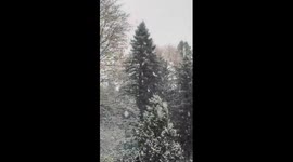 Heavy snowfall covers trees in Guelph, Ontario, Canada