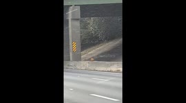 Rare snow showers seen in Atlanta, Georgia, USA