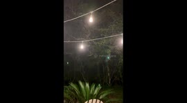 US: Frigid Cold Airmass Grips Southeastern Region, Triggers Widespread Freeze Warnings 4