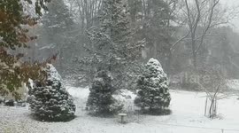 Steady snowfall blankets Orchard Park, New York, USA