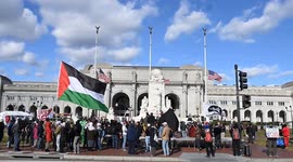 Anti-Trump protesters rally in Washington on Veterans Day