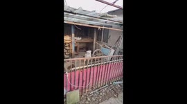 Dog plays with overturned two-wheeled handcart in Liaoning, China