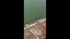 Fish spits at man in Fujian, China