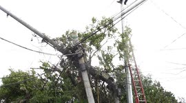 Philippines: Php 142.29 Million following the onslaught of Severe Tropical Storm Uwan in Agriculture industries