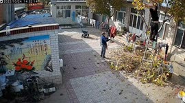 Resident left dangling when ladder collapses while trimming trees
