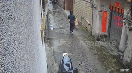 男子临时将狗拴在水管上 狗前扑时将水管拉断