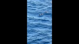 Passing ship rescue people floating in sea off coast of South America