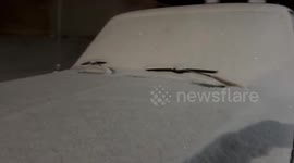 US: Frigid Cold Airmass Grips Southeastern Region, Triggers Widespread Freeze Warnings 5