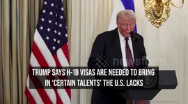 Trump Says H-1B Visas Are Needed To Bring In 'Certain Talents' The U.S. Lacks
