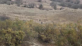 Georgia investigates Turkish military plane crash in coordination with Türkiye, interior minister says