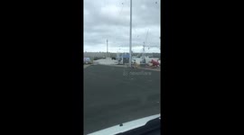 Wild bear seen jumping into water for a swim in Japan