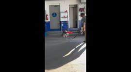 Where'd the Ball Go?