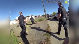 US: Lunging Pit Bull Fails To Stop Arrest During Chaotic Street Encounter